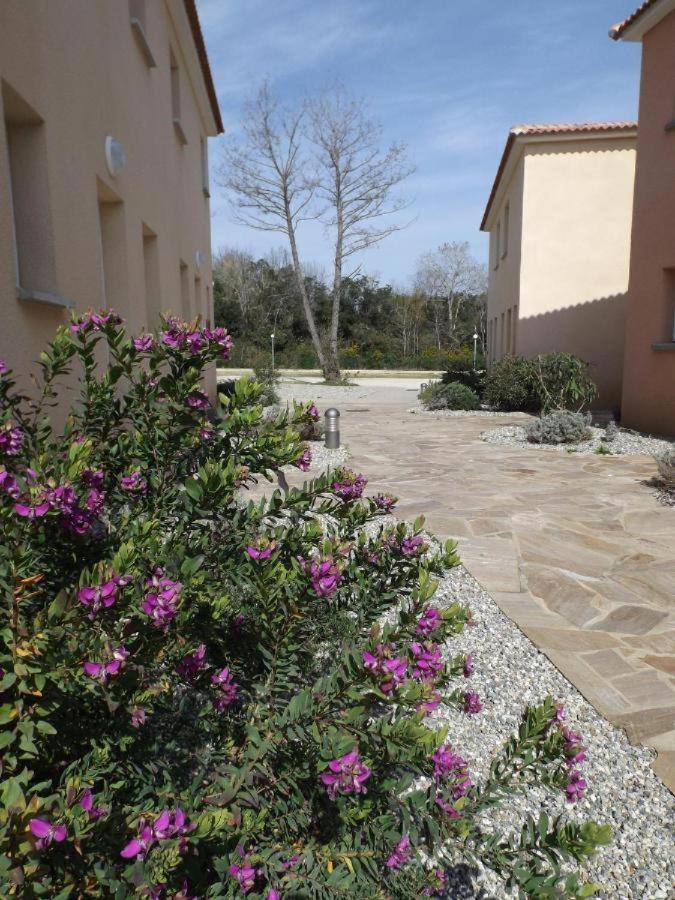 Nouvel Location D'Un Bel Appart T2 Climatise Et Meuble Au Rdch Avec Piscine Dans Residence Les Melody Santa-Maria-Poggio  Exterior photo